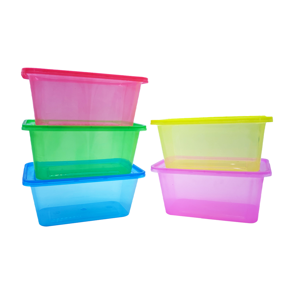 RECTANGLE CONTAINER WITH FLAT LID-BODY TRANS & COVER COLORED