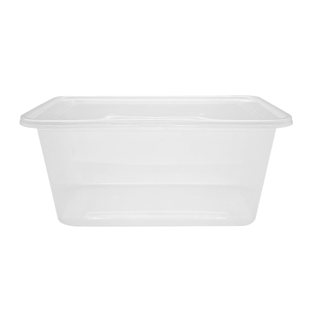 RECTANGULAR CONTAINER WITH TRANSPARENT LID