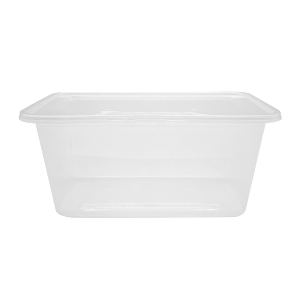 Large Container Rectangle R RECTANGULAR CONTAINER WITH TRANSPARENT LID – donewellplastics