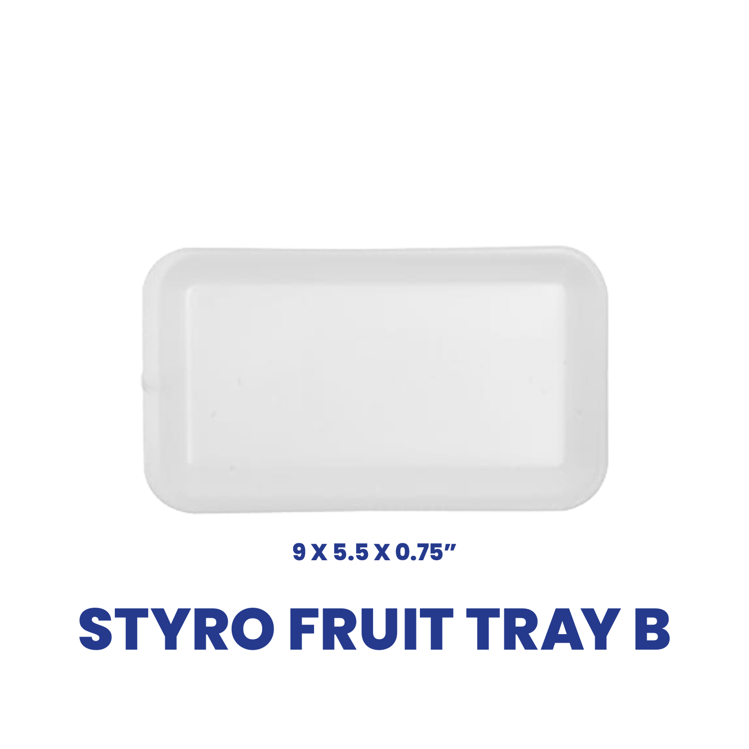 Styrofoam Fruit Tray B – Donewellplastics